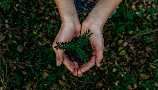 How ECO-friendly is ceramics?